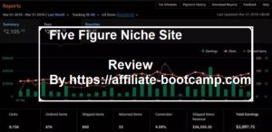Five figure niche site review